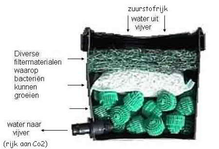 Doorsnede van een biologisch vijverfilter